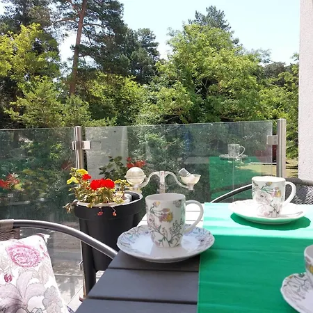 Gizella Balatonfenyves